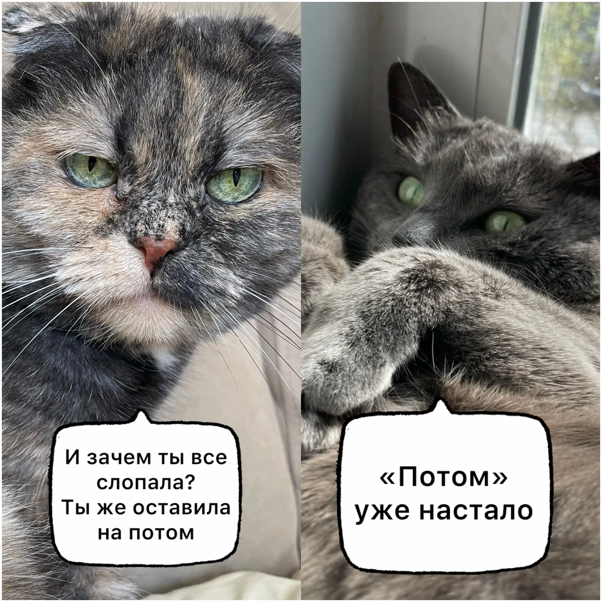 Время ведь быстро летит