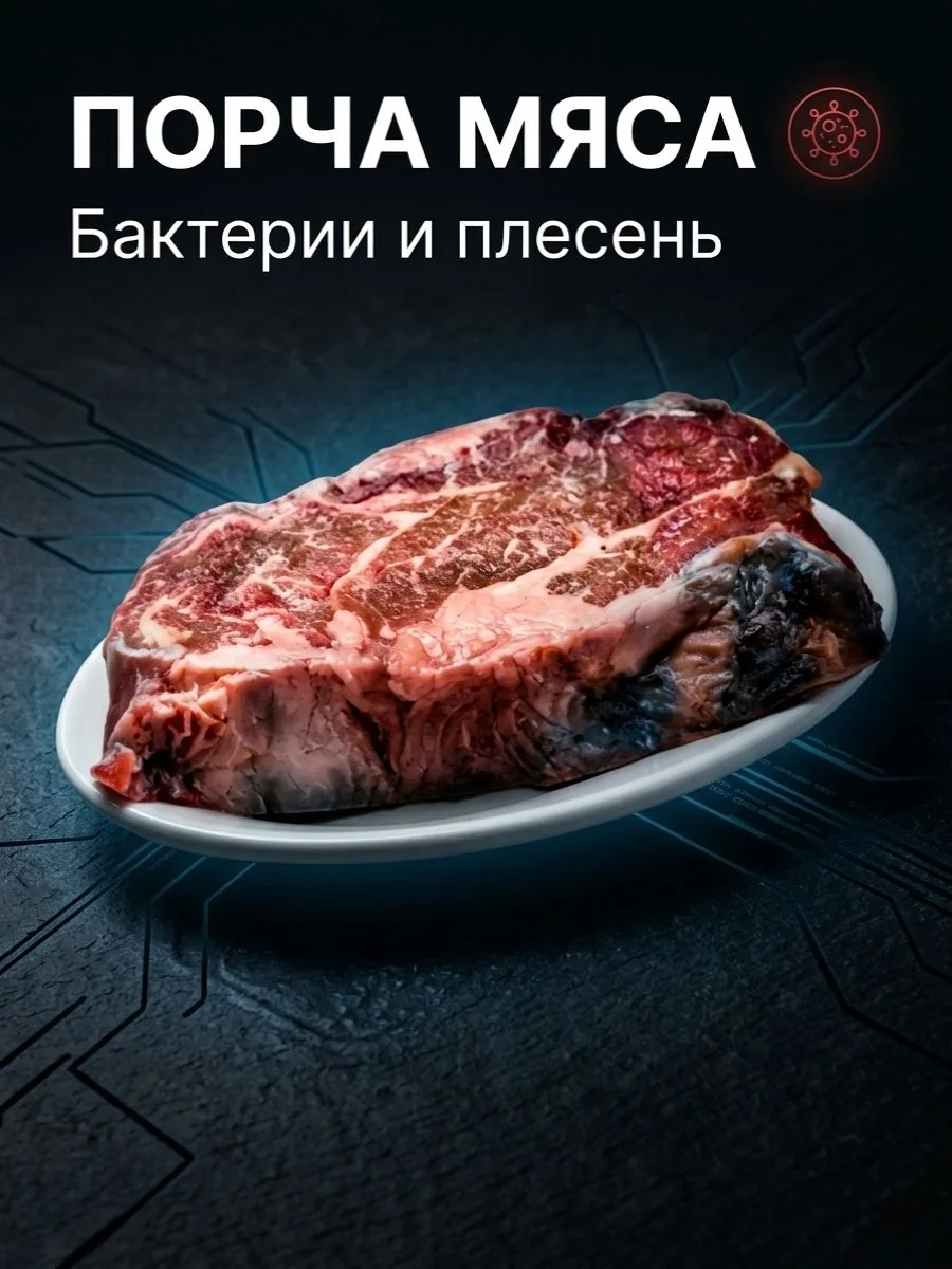 Порча мяса