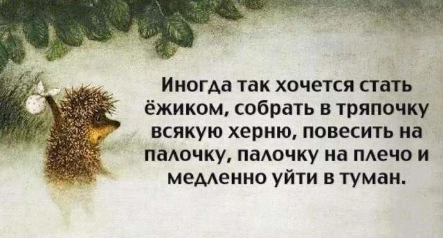 За Ежей в тумане    https://max.ru/public217562846