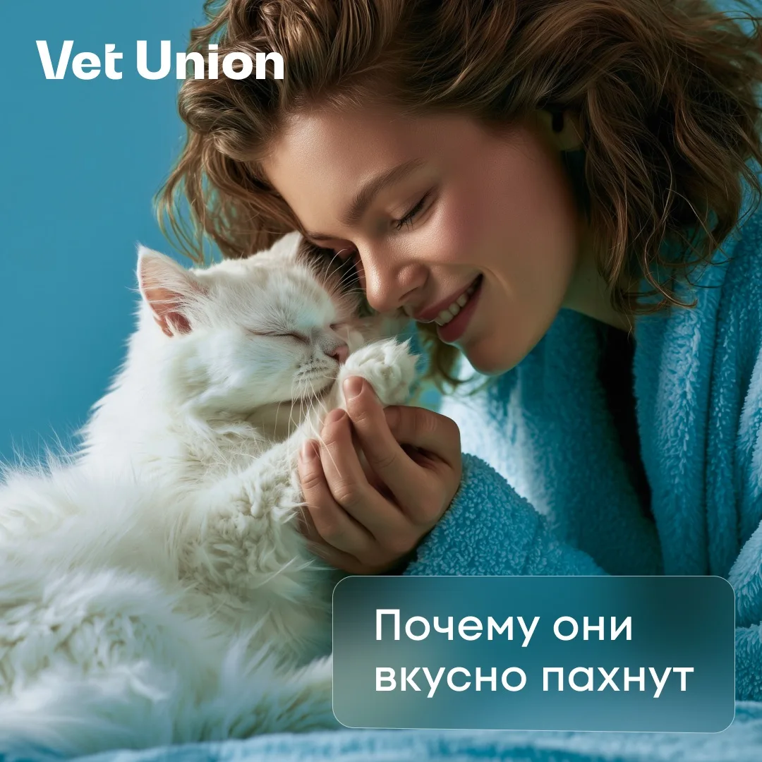 Так бы и съела тебя!🐾