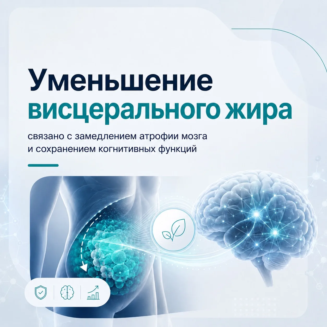 Почему важен не только вес, но и висцеральный жир?