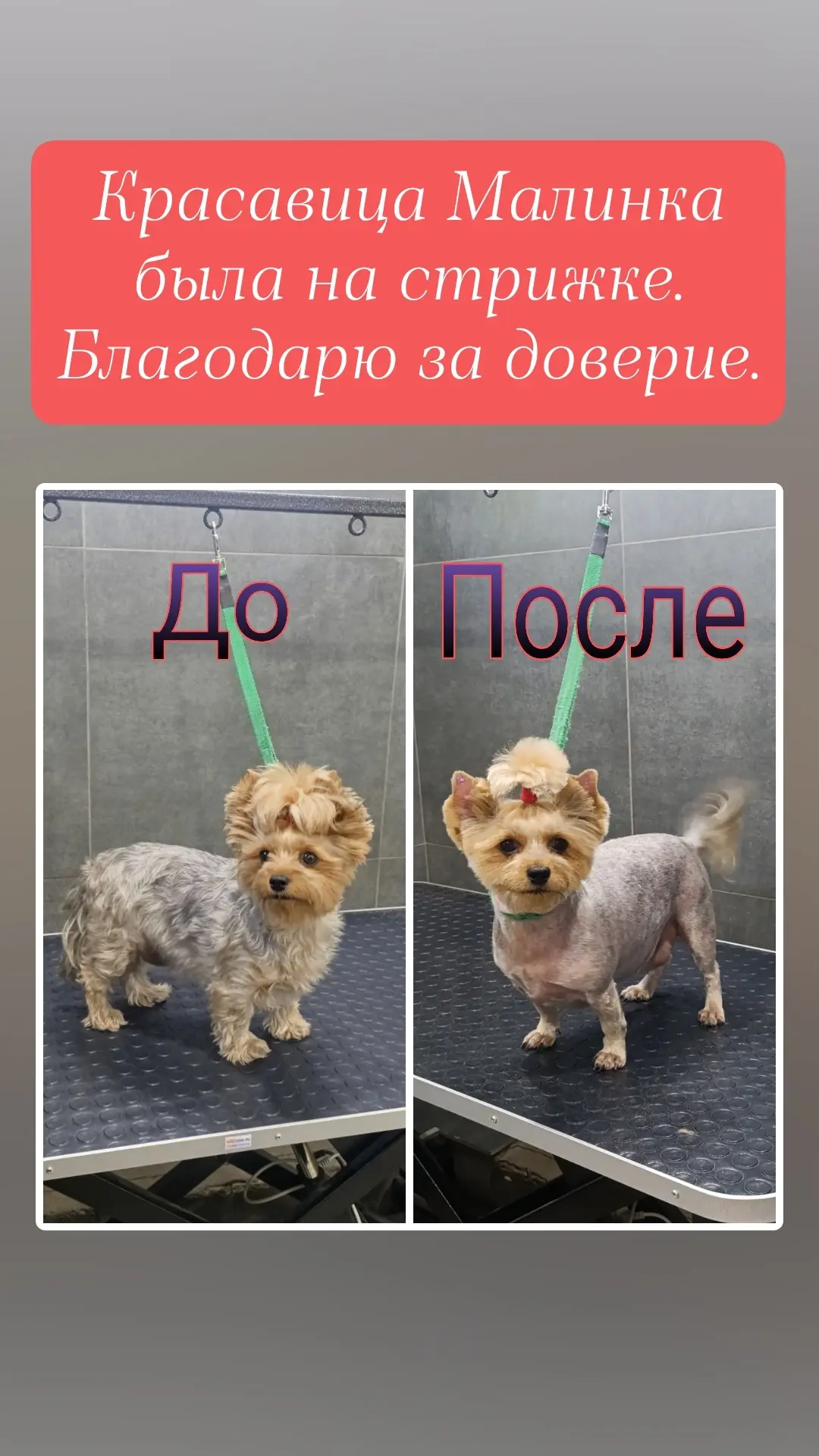 Девочки красавицы были на стрижке 🥰🥰🥰