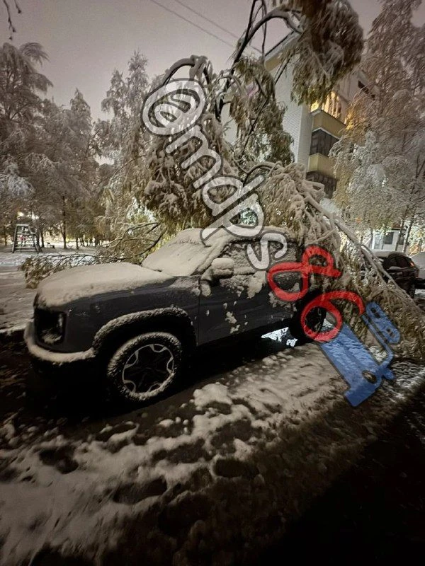 А вот и в Сургуте тоже такая картина 😱