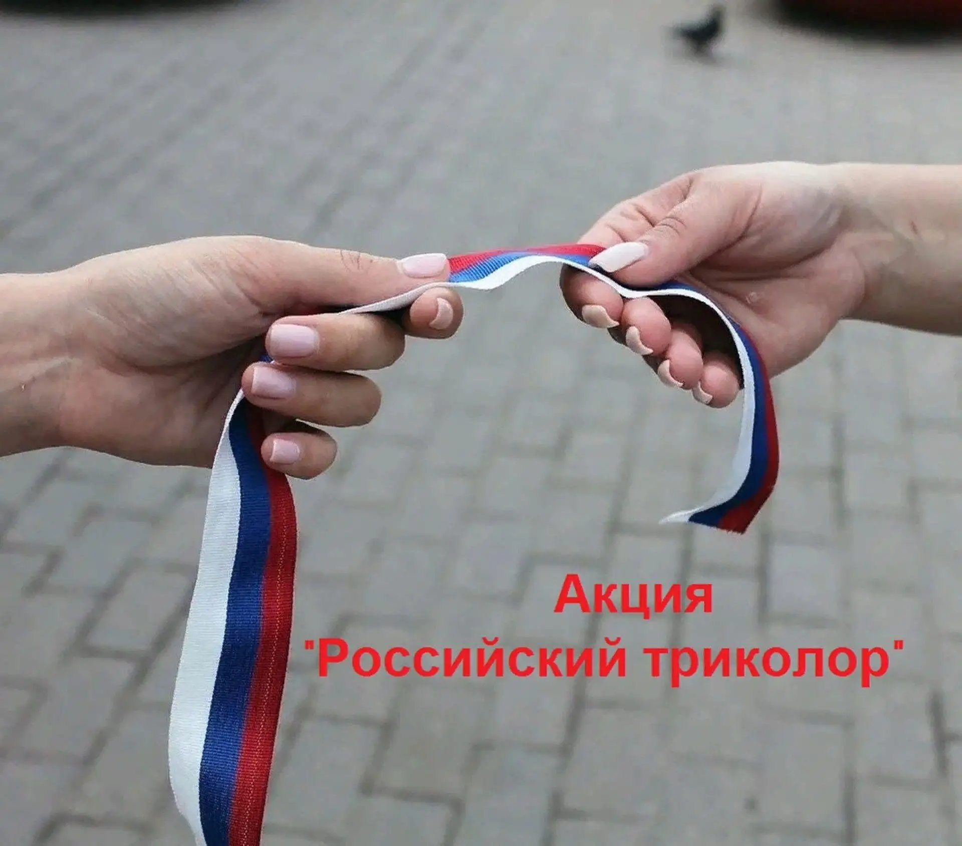 Ребята приняли участие в акции "Российский триколор". В парке пос.ш.Ростовская раздали ...