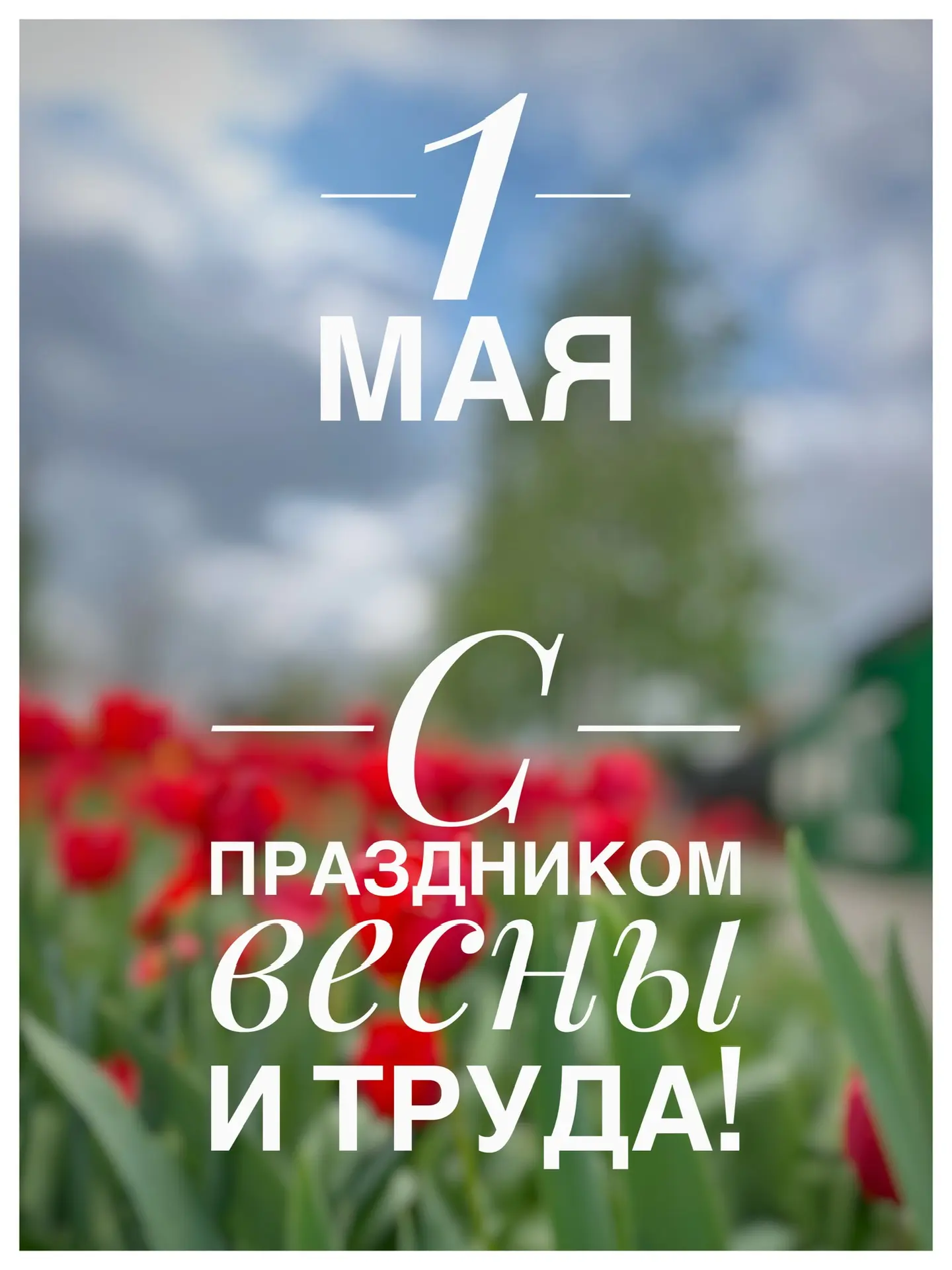 Дорогие друзья! ❤️