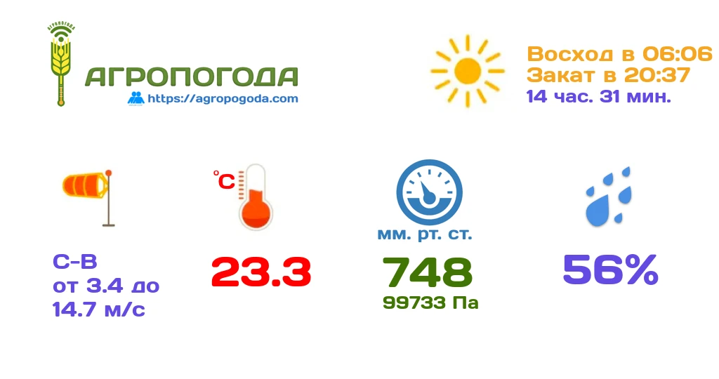 Агрометеорологическая сводка на 24.08.2026 (17:50)