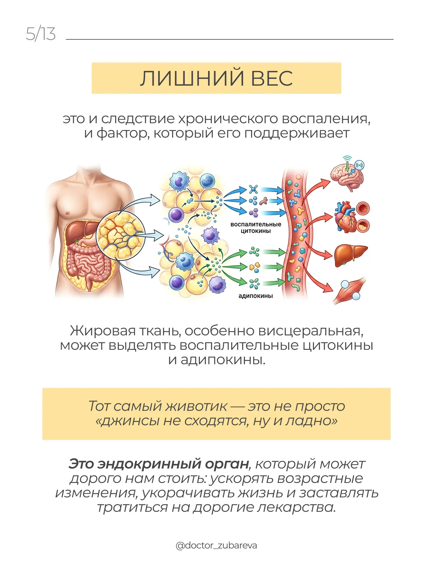 Самый простой способ замедлить старение — это победить системное воспаление!