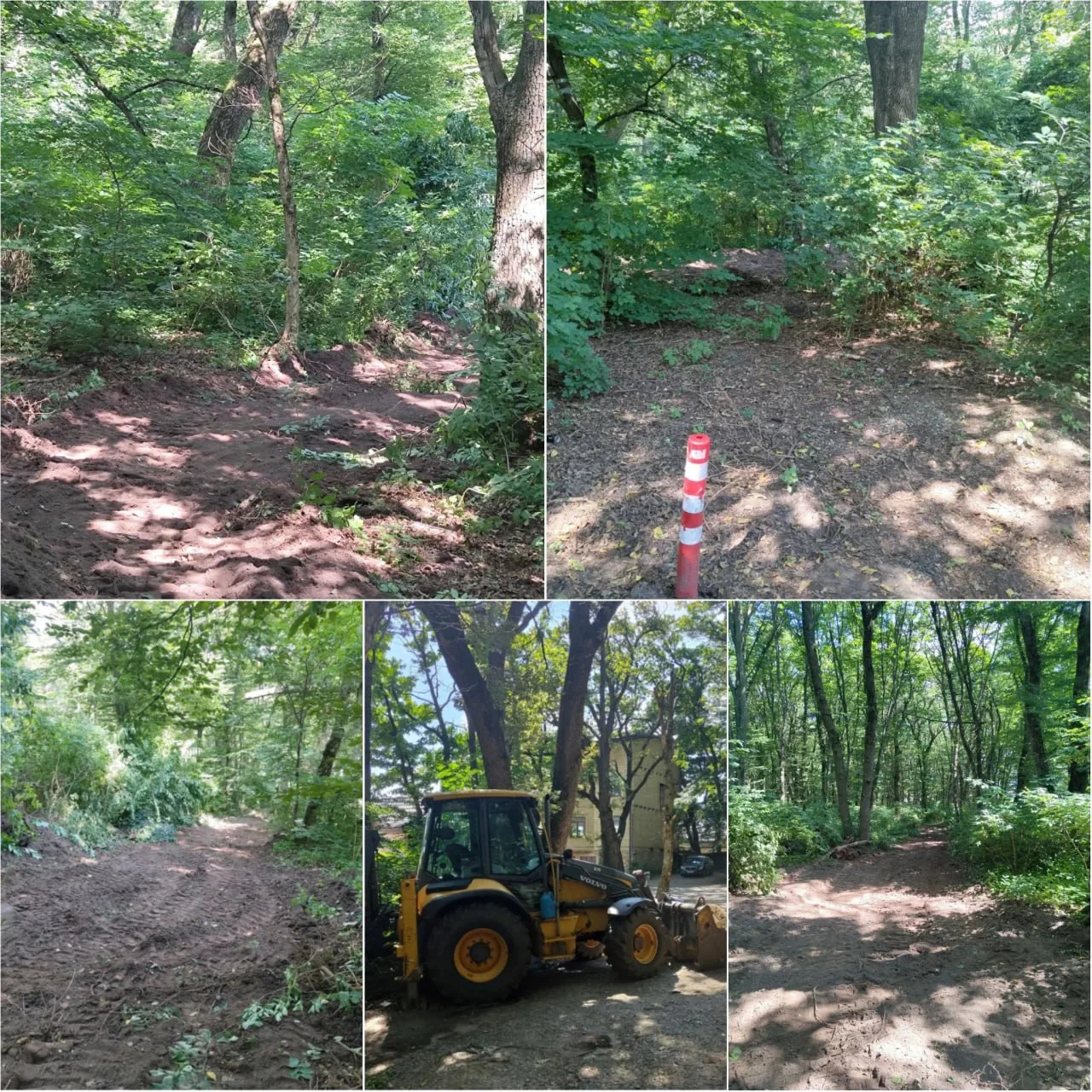 🌳В Ставрополе опровергли вырубку деревьев в Таманском лесу

Недавно жители краевого центра заметили