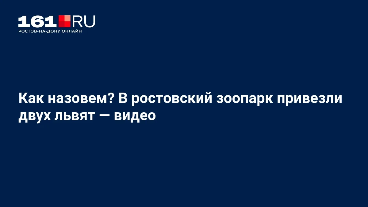 В ростовский зоопарк привезли двух пятимесячных львят — брата и сестру. Их доставили из...