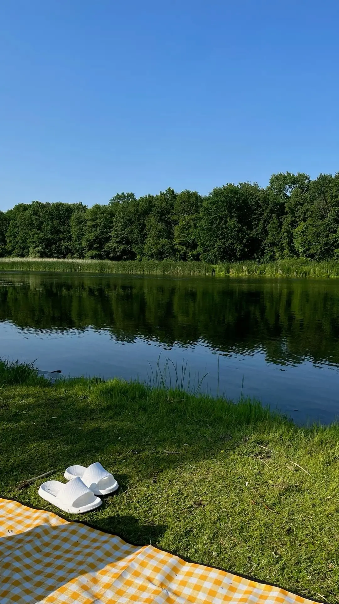 🌞 Синоптики обещают настоящий подарок — ближайшие выходные могут стать самыми комфортн...