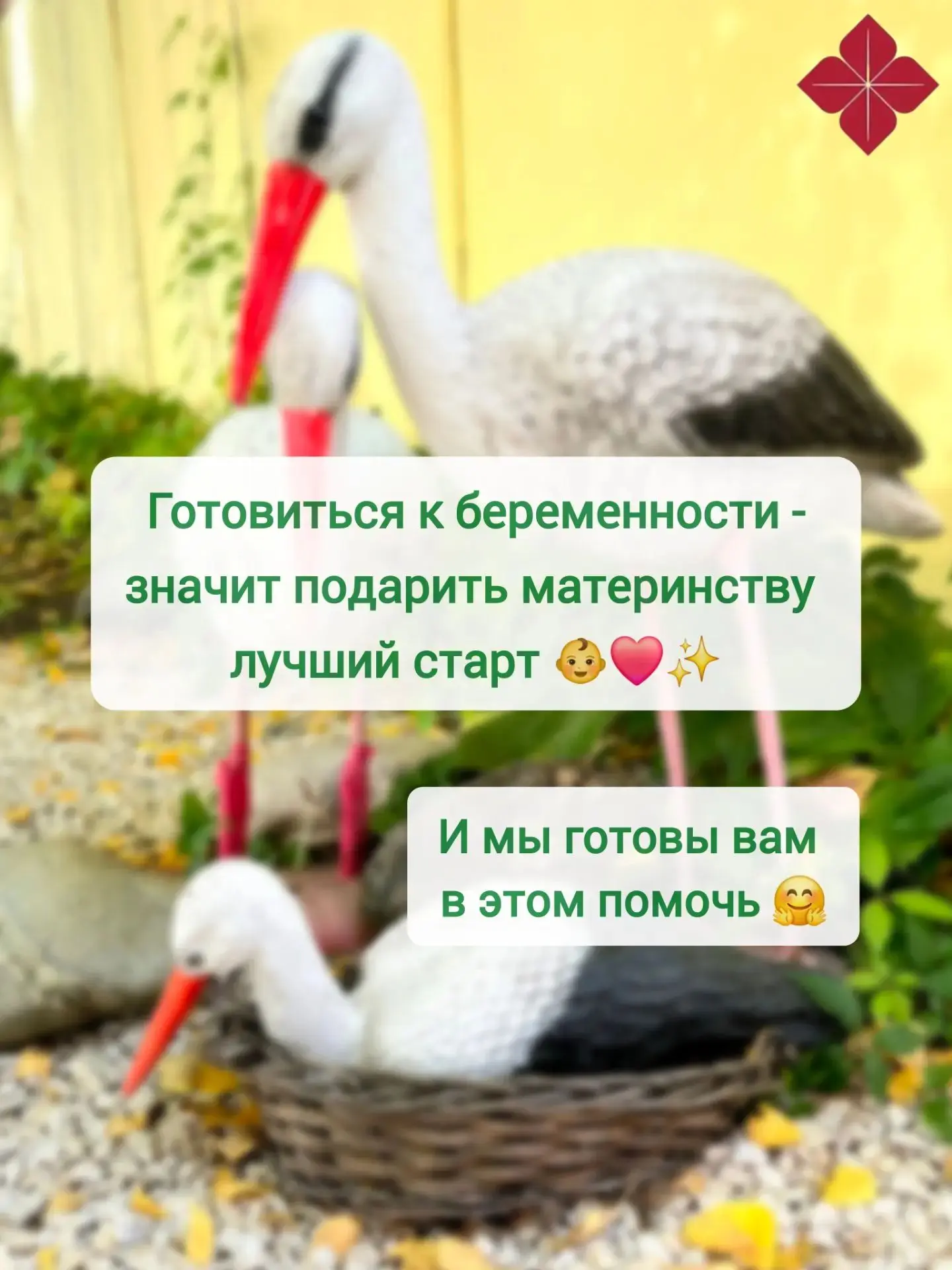 Прегравидарная подготовка – повышаем шансы на успешную беременность ✨❤️👶