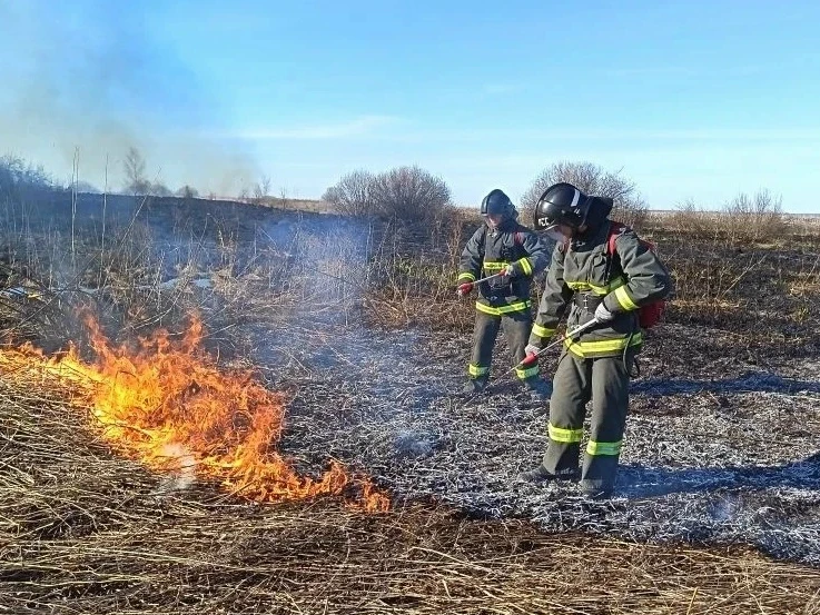 ❗С 6 по 9 октября в лесах Ульяновской области ожидается высокая пожарная опасность 4 кл...