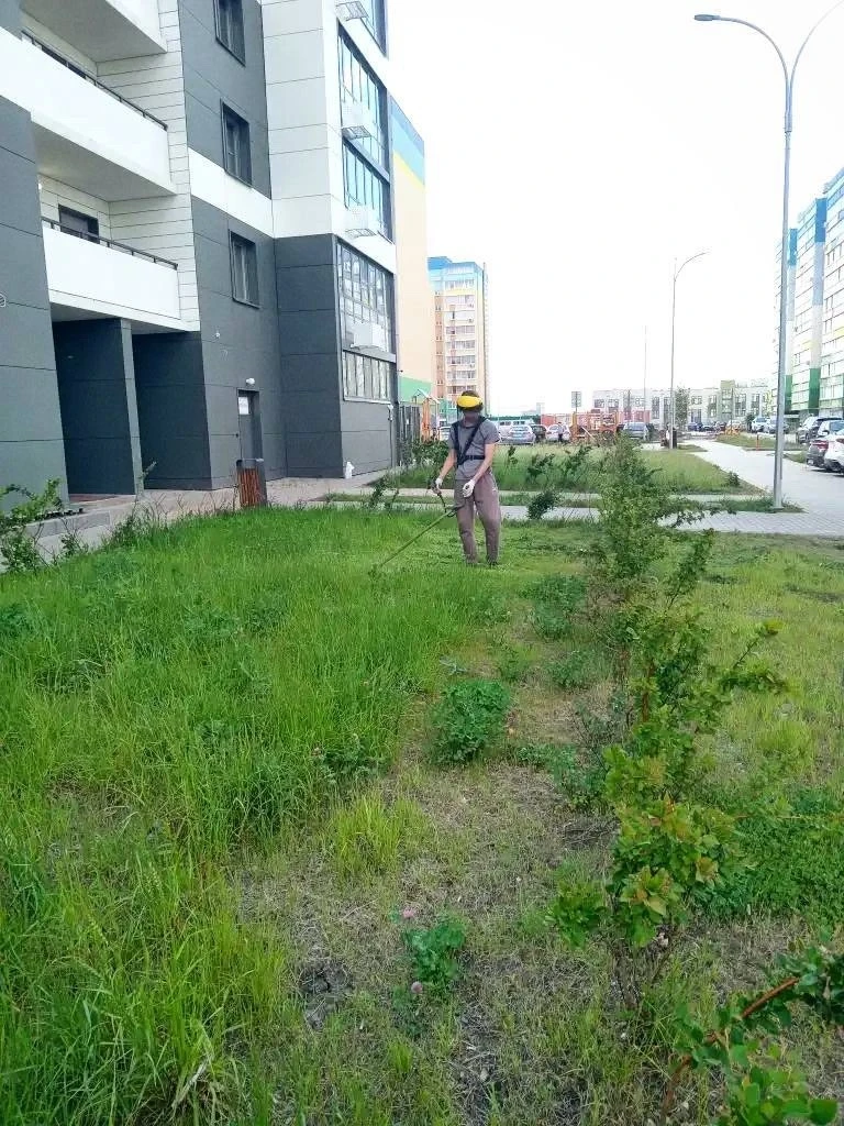 Продолжается покос травы во дворах Альметьевска

Департамент развития сообщил,  что 9 июня косить бу