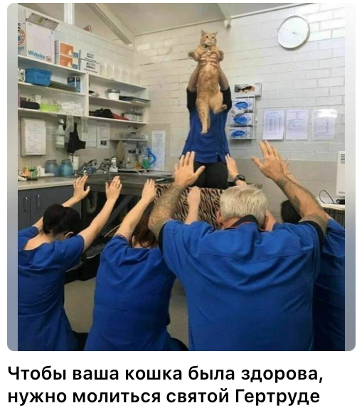 Семейные советы на ночь. Когда нет детей, можно и святой Гертруде.