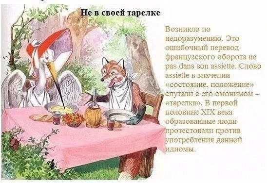 История и значение пословиц