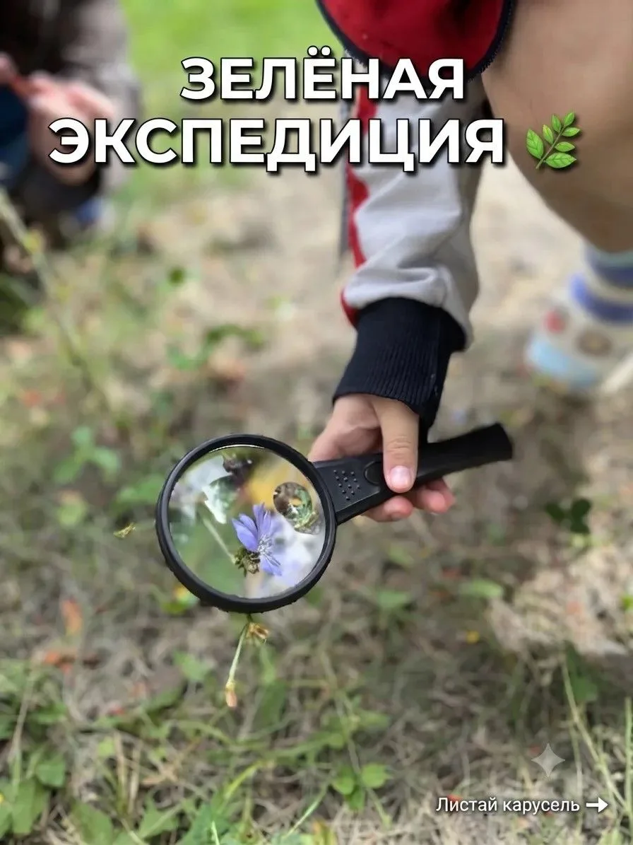 🔍Экодективы в деле: что скрывает обычный газон?