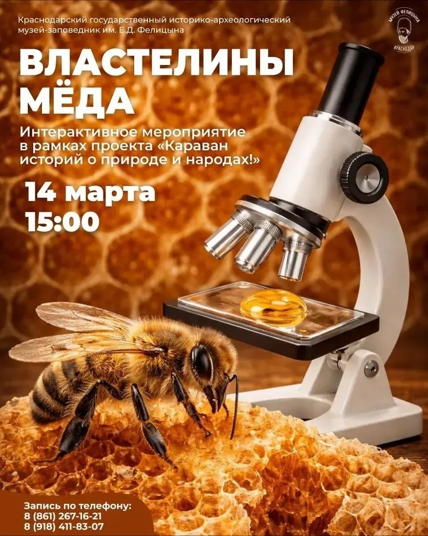14 и 15 марта 🔔Музей им. Е.Д. Фелицына, ул. Гимназическая, 67  Возраст: 6+  👨‍👩‍👧Мероприятия в 