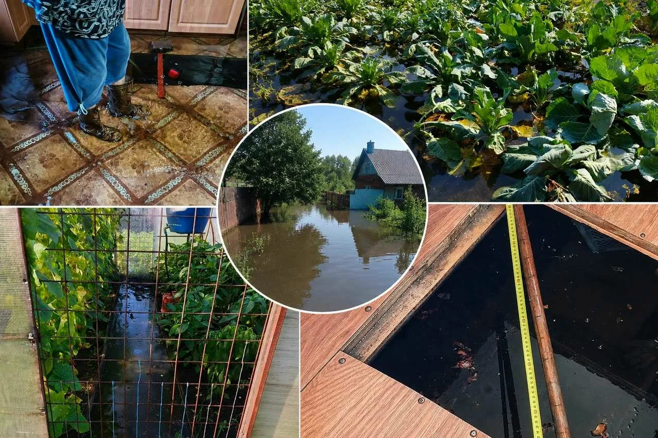 Огороды погибли, вода заходит в дома: мэрия Новокузнецка пока готовит совещание 
 
⚠ Потерянный урож