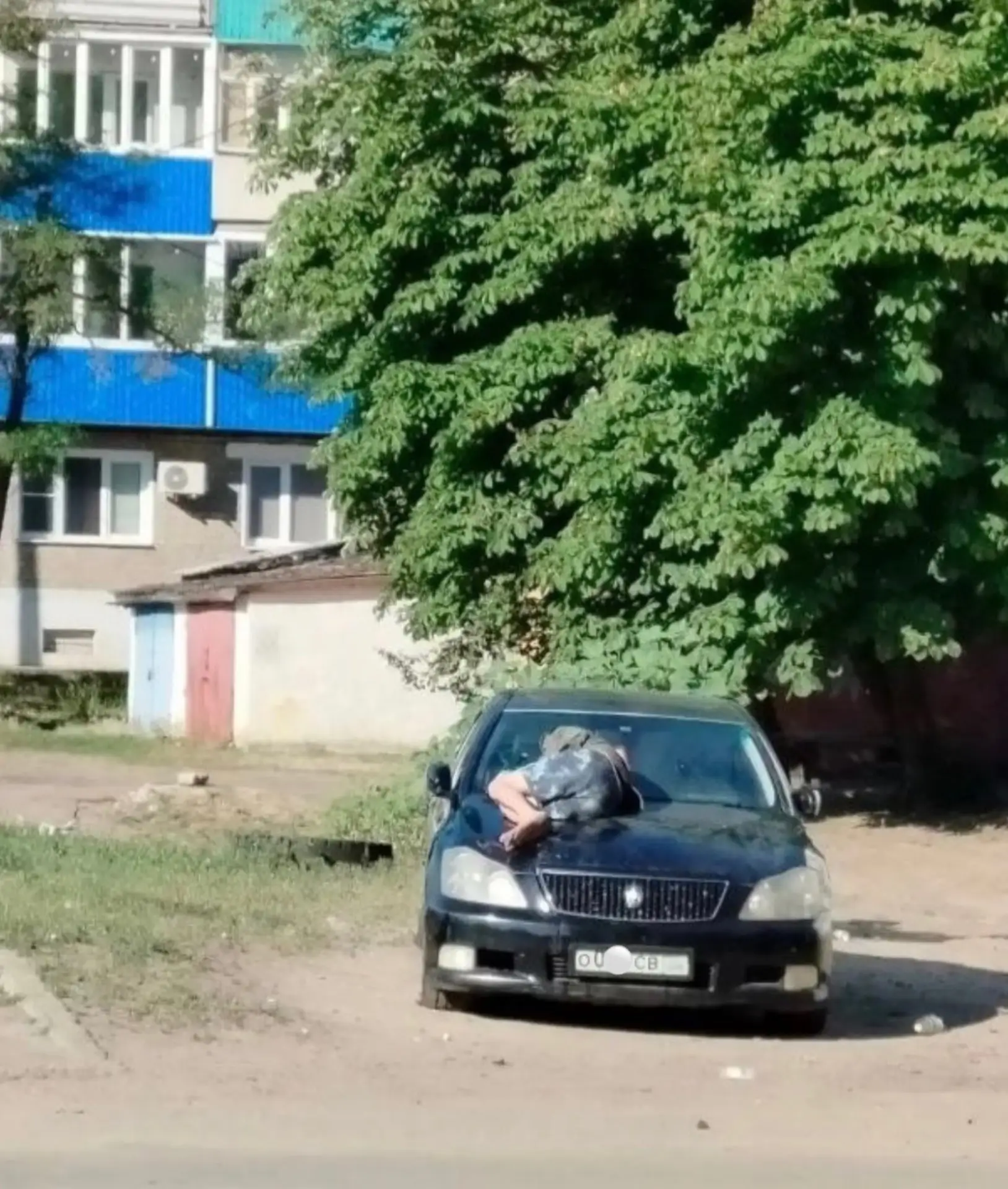 Забавный «котик» укрылся на капоте автомобиля в Россоши.

📡 РЖВ ТГ | ВК | МАХ

ЧАТ Жителей Воронежа