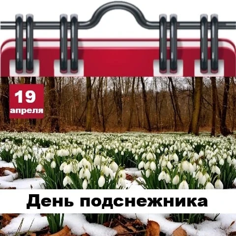 🗓 Сегодня 19 апреля 2026 года, воскресенье