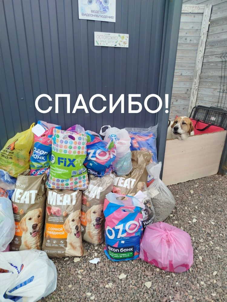 ‼️❤️❤️❤️❤️ Огромное СПАСИБО
