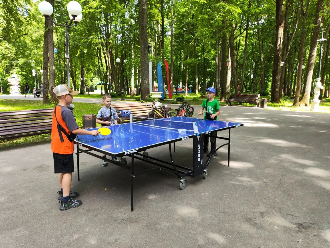 Проведите время с пользой в Лотошинском парке! 🏓♟️