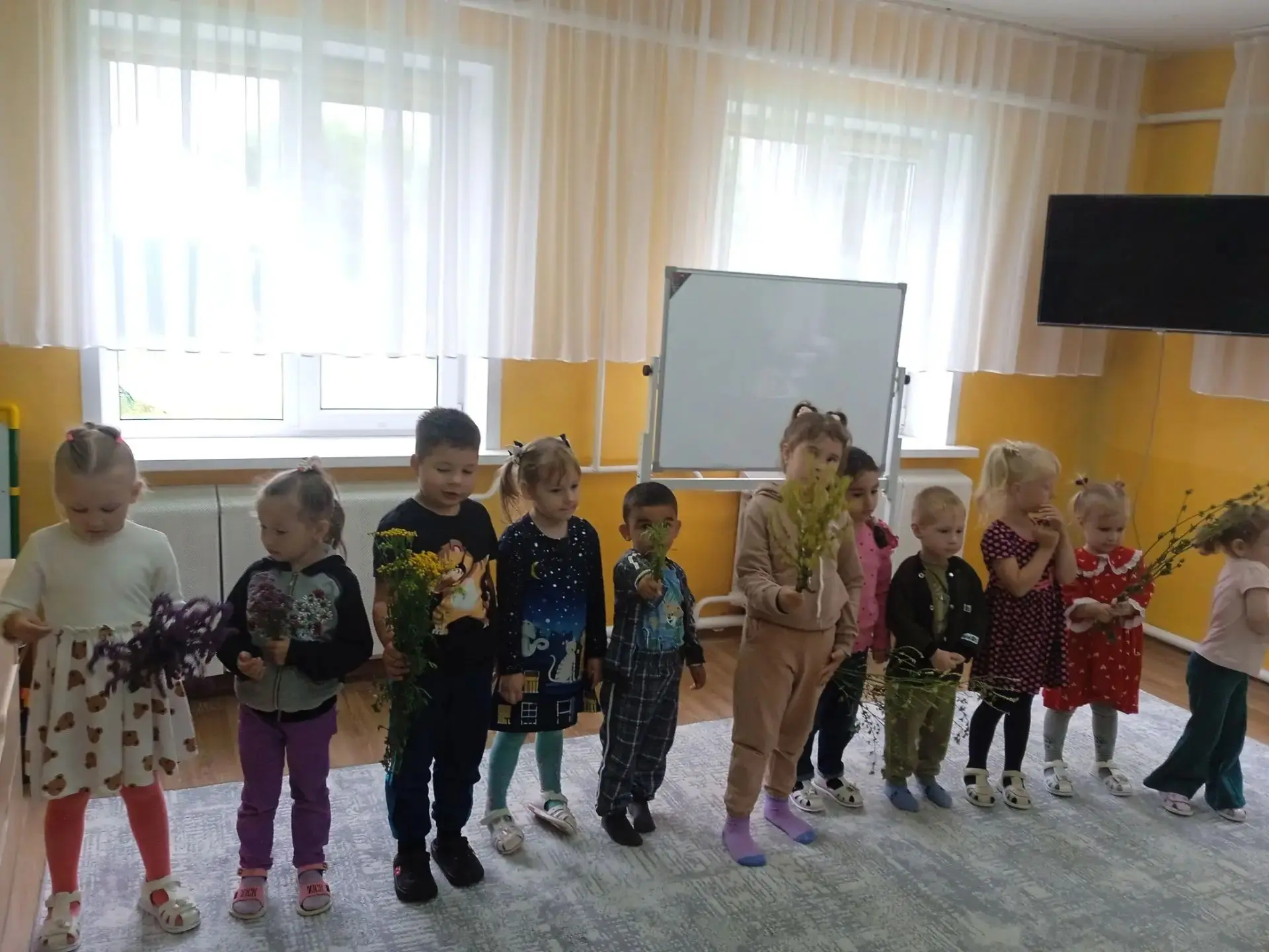 В детском саду детей знакомили с лекарственными травами:мятой, липой, душицей, донником, цикорием, ш