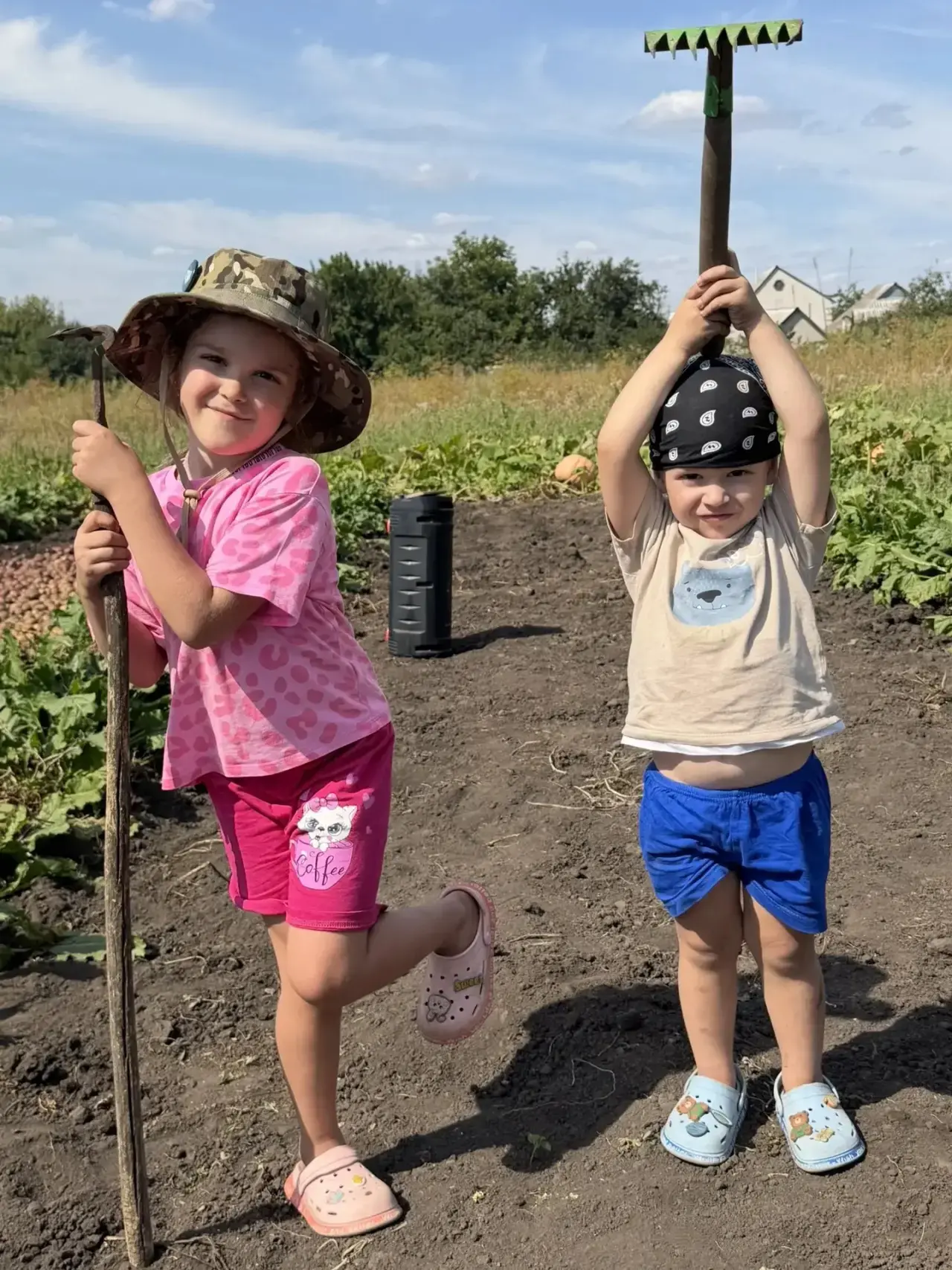 🍅 Собираем урожай!