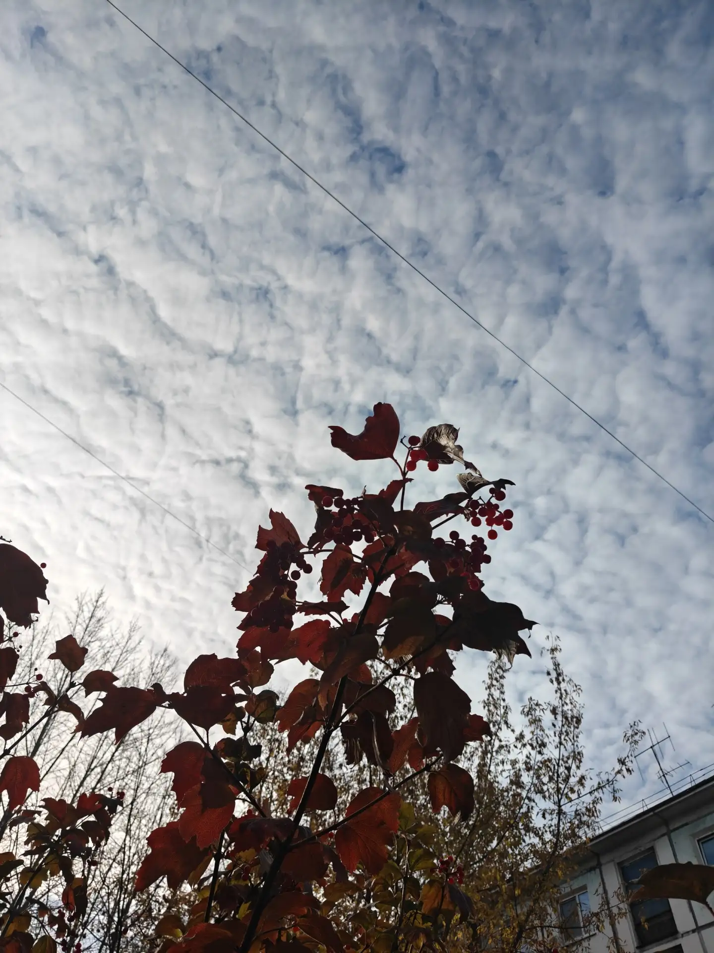 🍁 ОСЕННИЙ АНГАРСК🍁