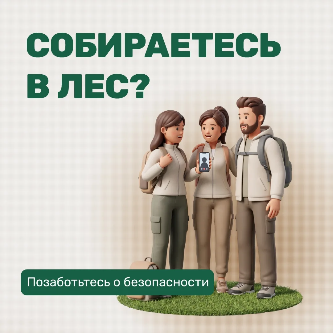 Собираетесь в лес? Позаботьтесь о безопасности