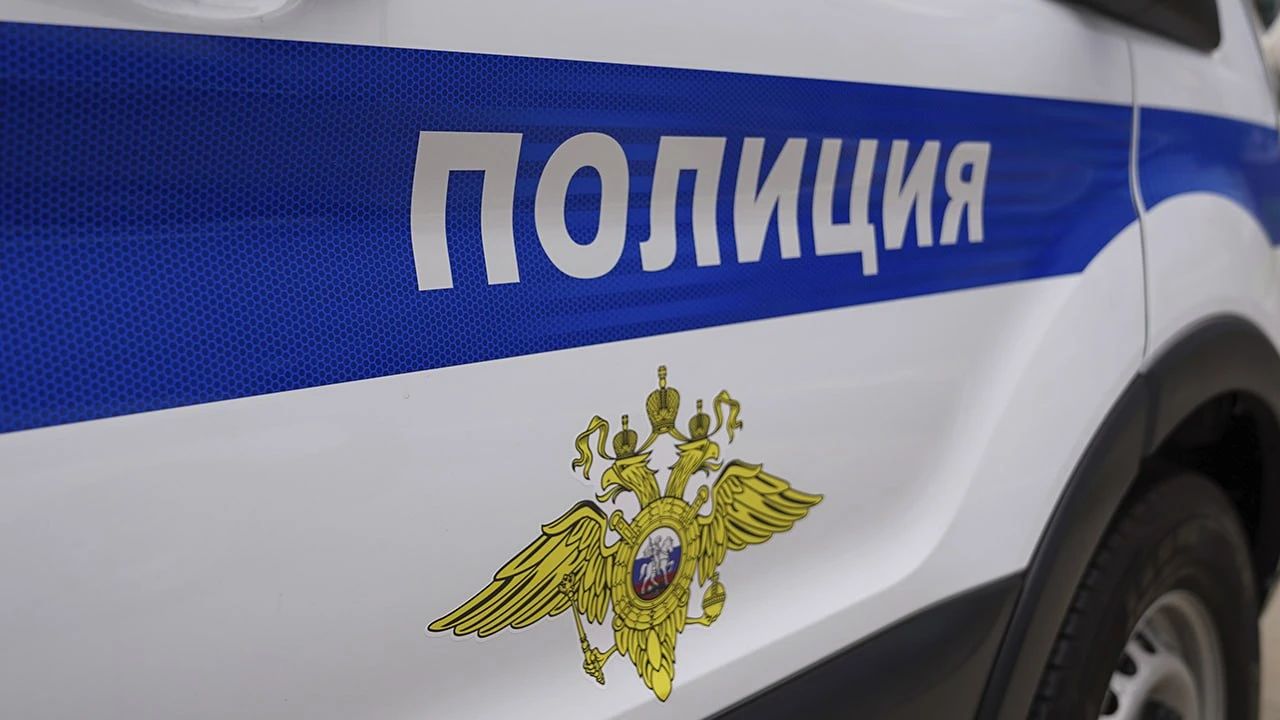 Полицейские в г.о. Подольск установили местного жителя, жестоко обращавшегося с животным