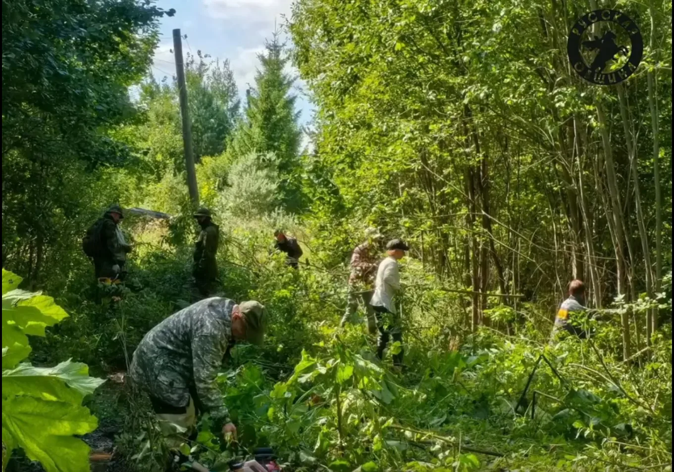 Русскую Общину Вятка (г. Киров) попросили о помощи волонтёры, которые благоустраивают д...
