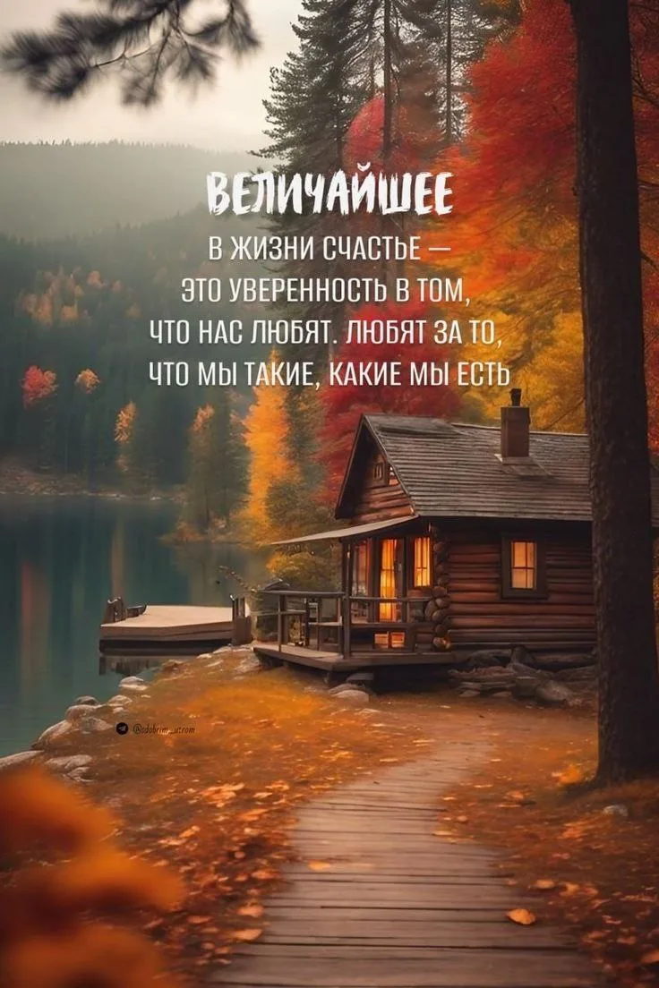 #мудрыеслова