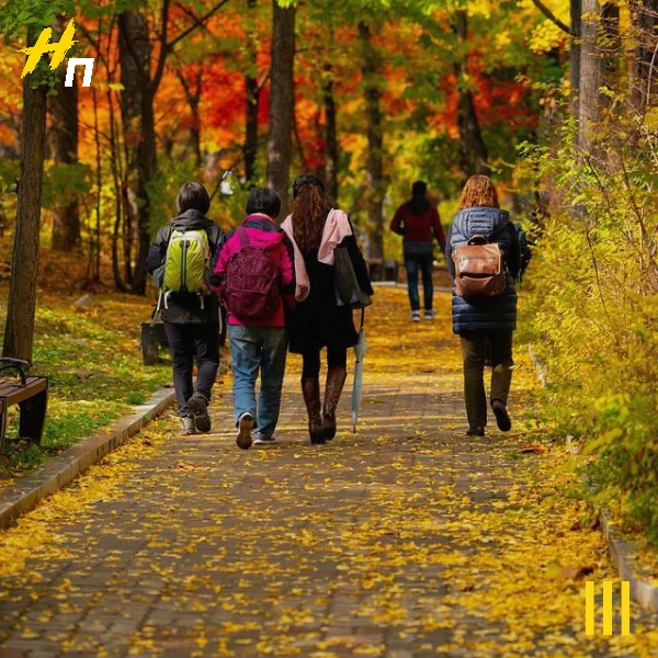 «Красная кнопка» на Госуслугах: нажал — и мошенник остался ни с чем