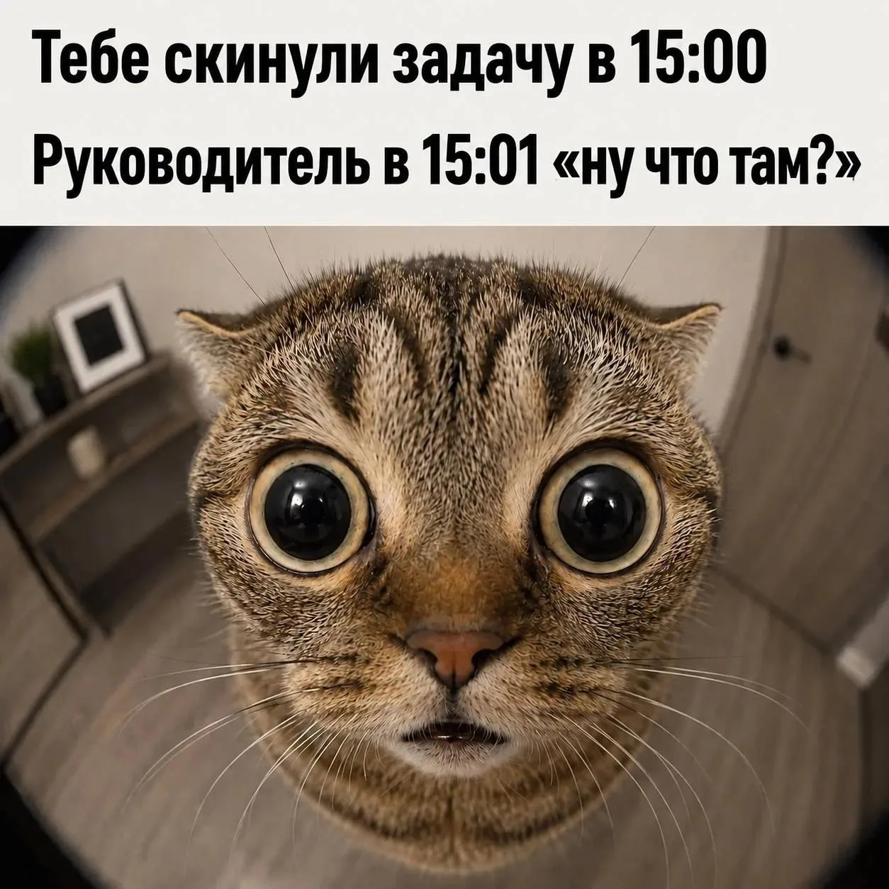 Традиционный мем от админа. Знакомо?

❤️ – ещё как!
🥰 – моё любимое 
🔥 – нет