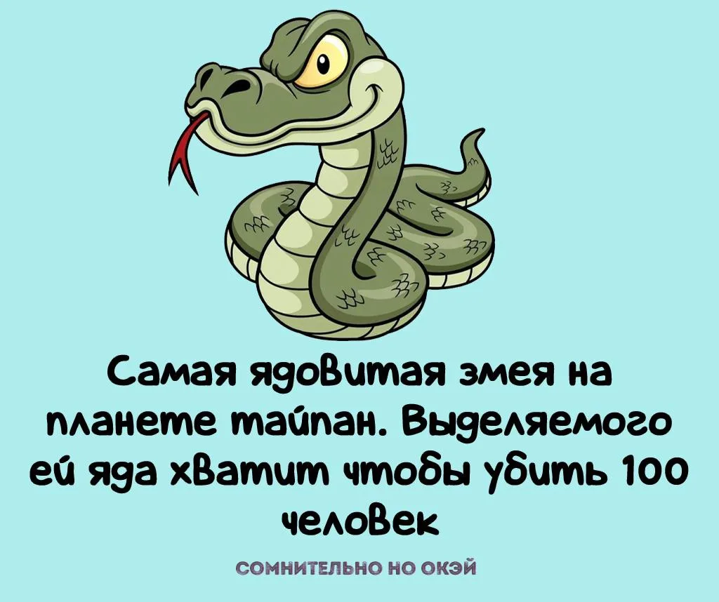 Признавайтесь, знали?