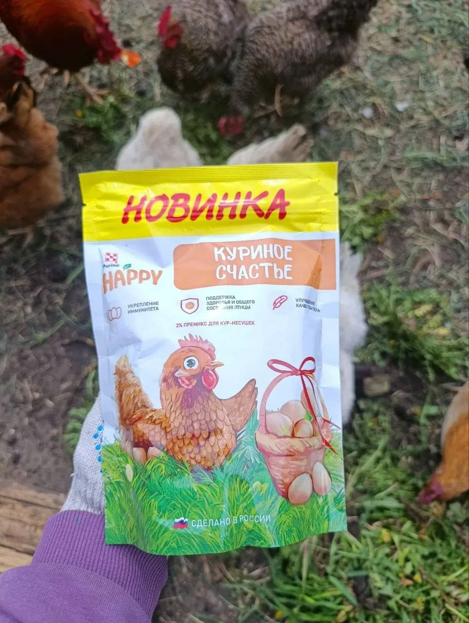 В курятнике порядок навела и курочек своих покормила 🤗  Обязательно добавляю в привычный для них кор