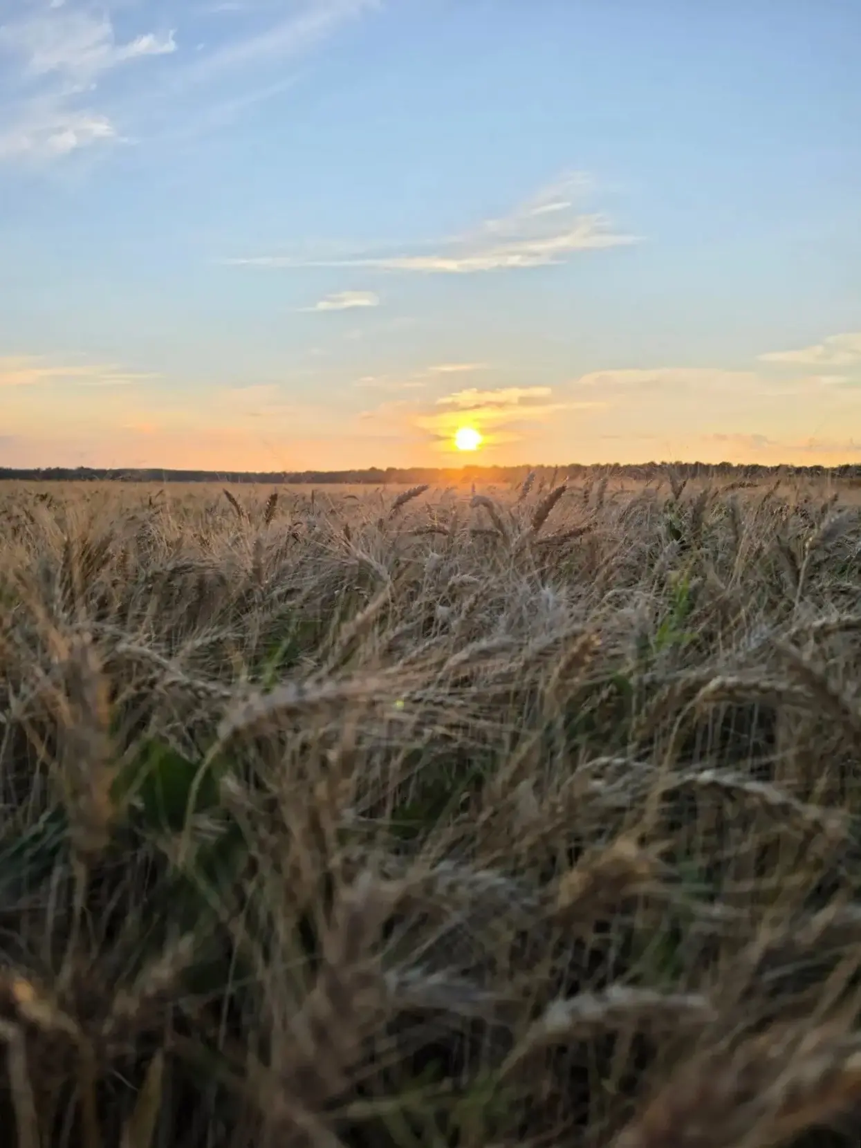 Хәерле кич, Биектау! 🌅🌾