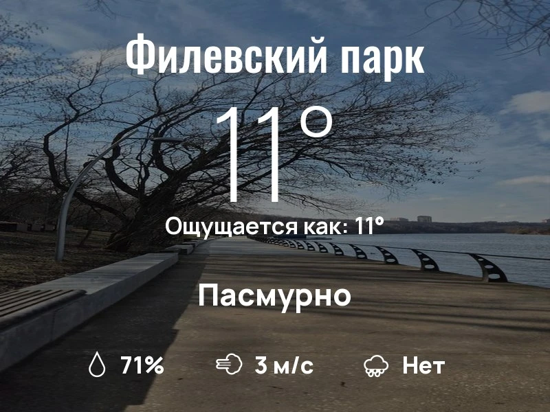 Что с погодой в Филевском парке?