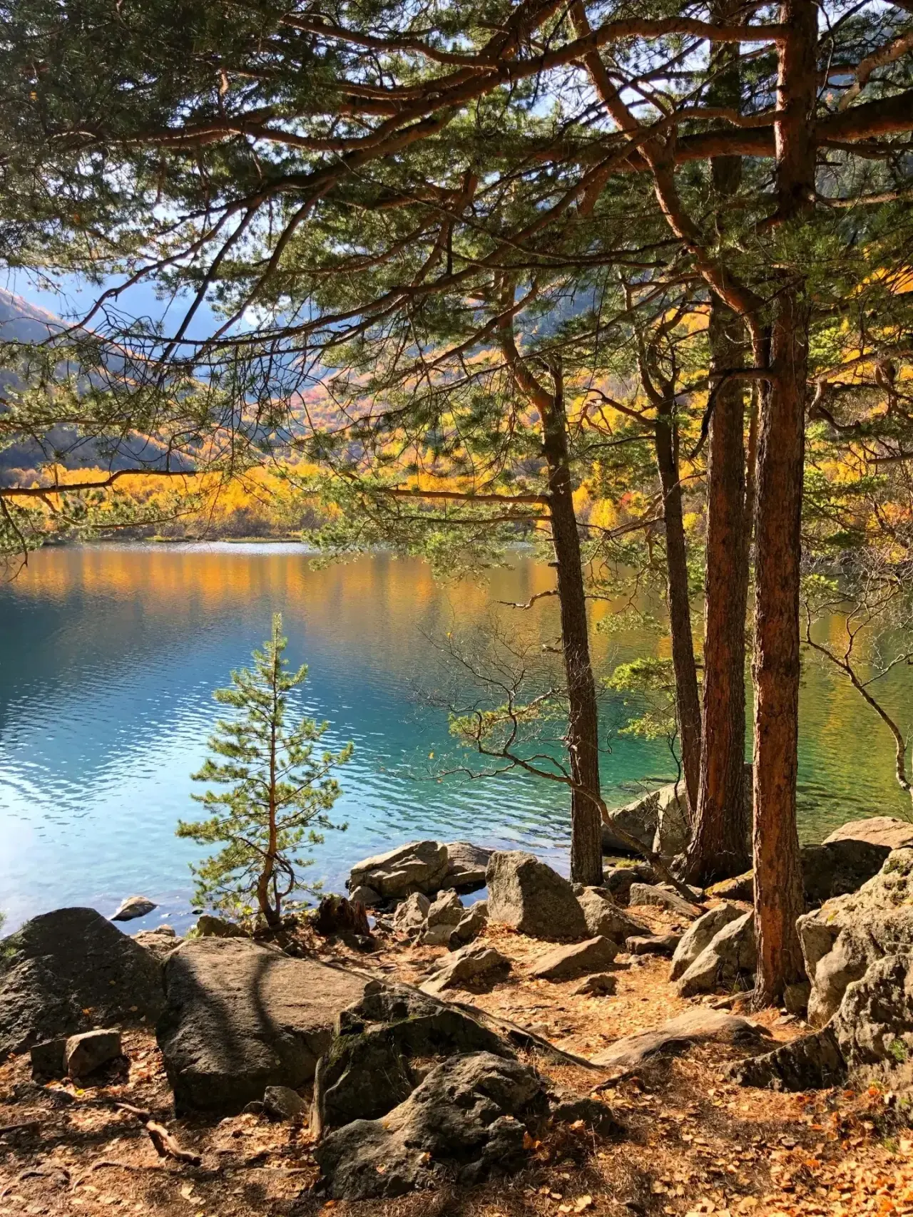 Осенних красок хоровод 🌪️🍂