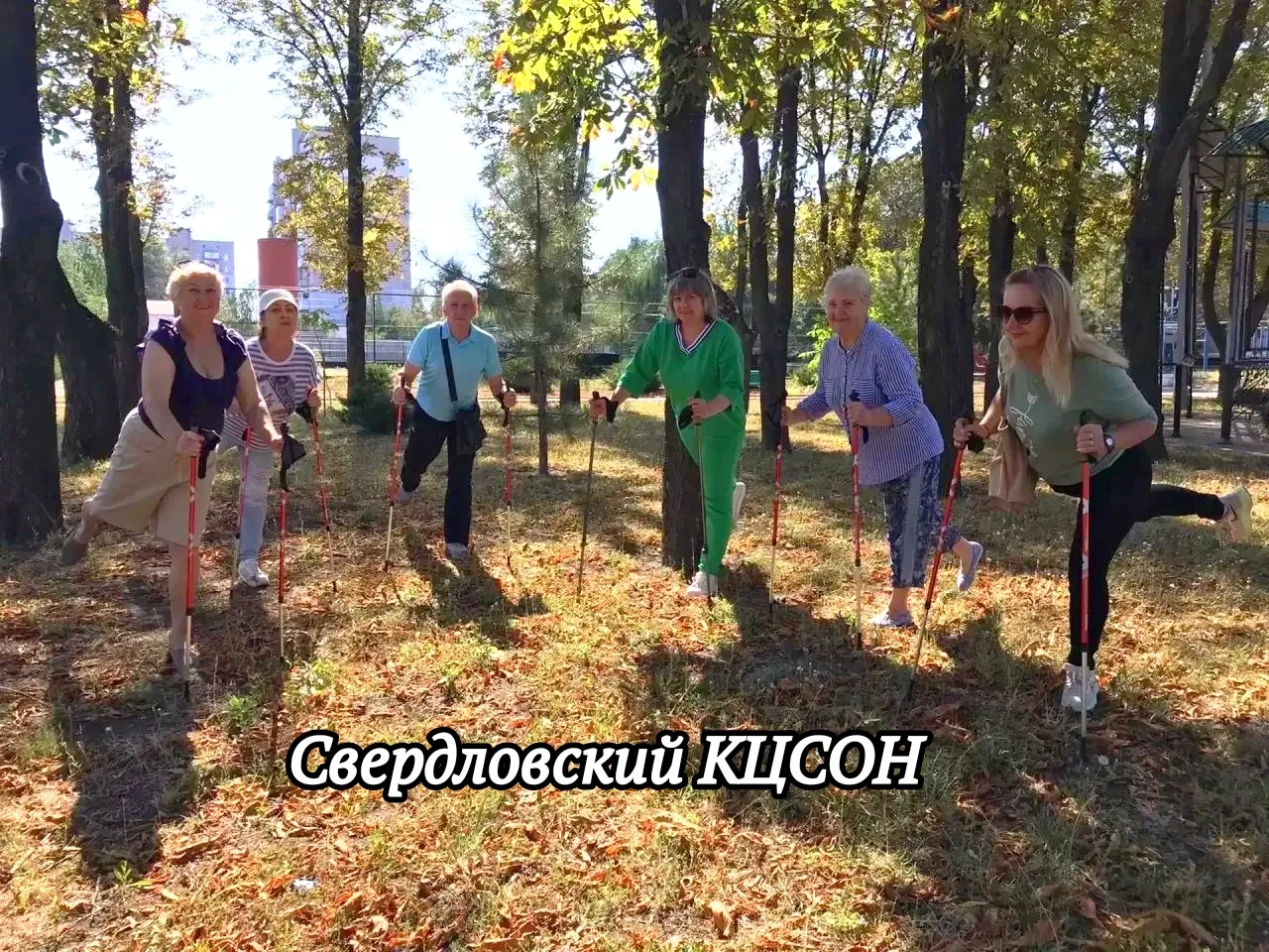 Спорт, кино и творчество: как проходят дни в активном долголетии