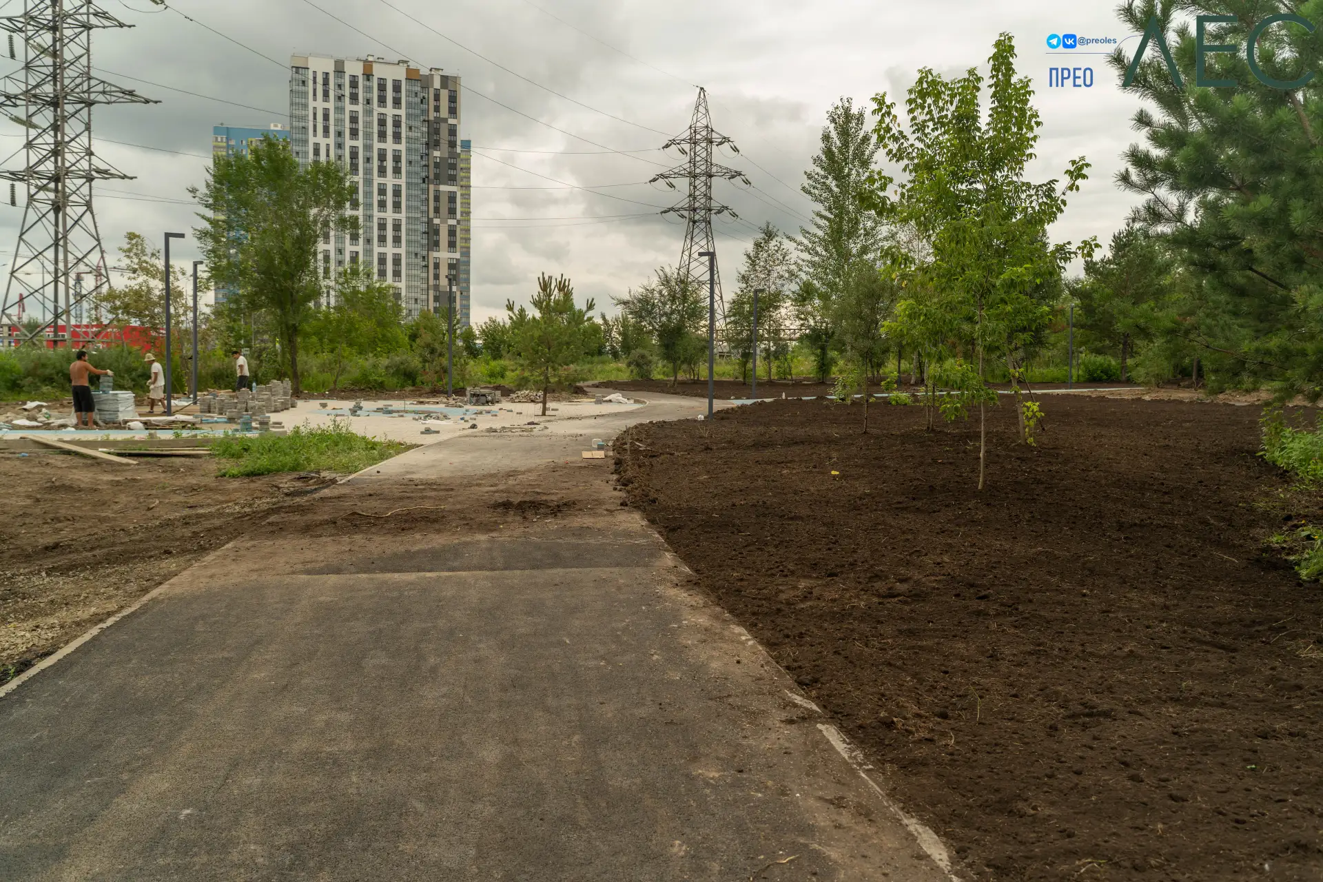 Порядка 4000 м² газона посеяно в Преолесу.