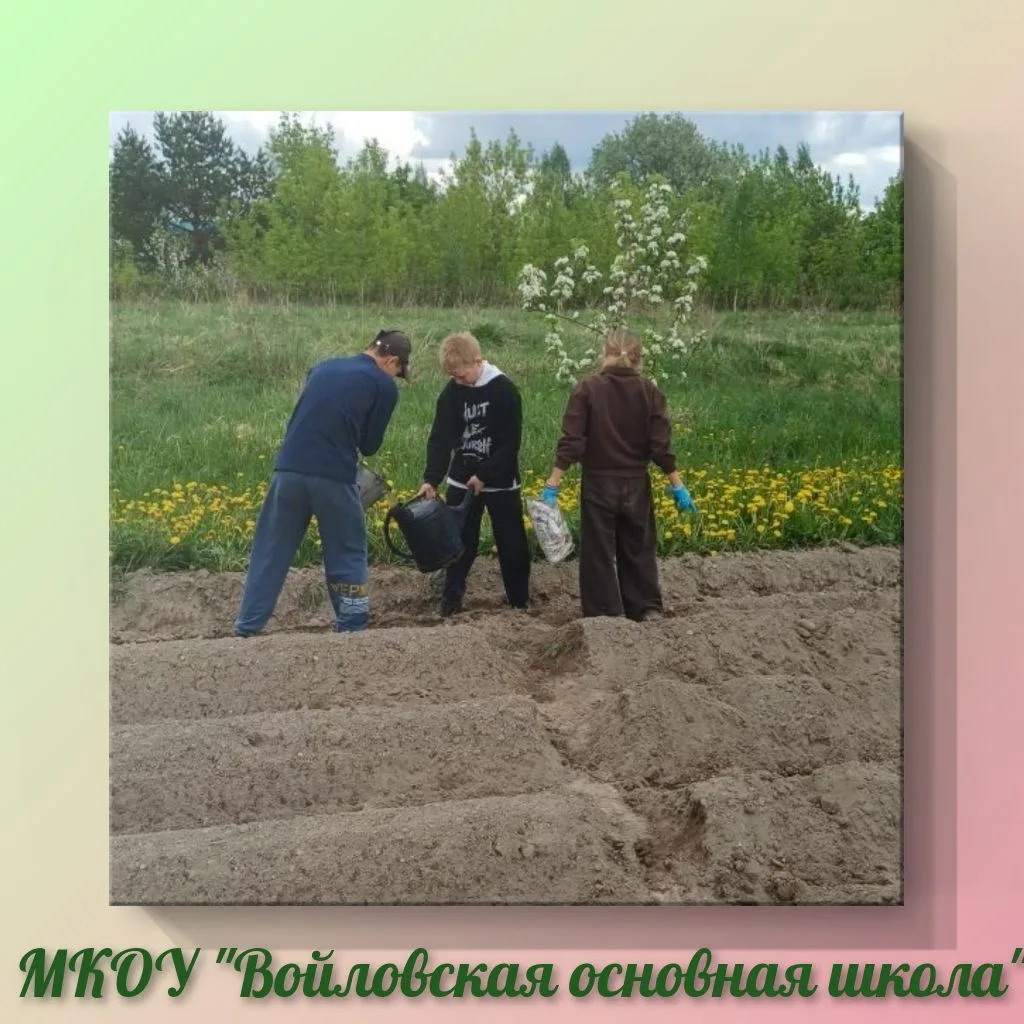 🌱🌼 На пришкольном учебно-опытном участке официально начался летний сезон.