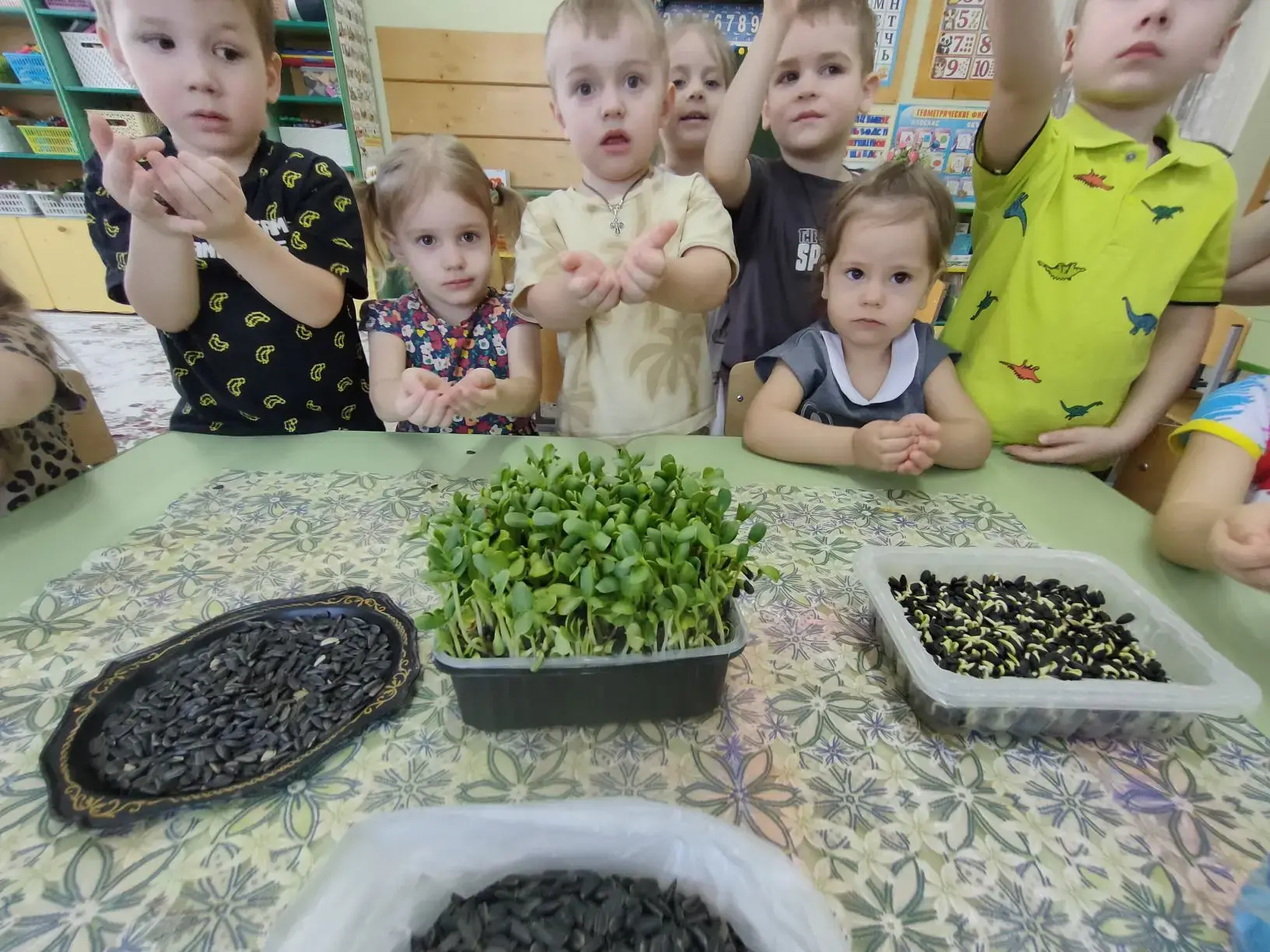 ☀️🌻 «Как растёт подсолнух»: маленькое чудо в группе «Весёлые зайчата»!