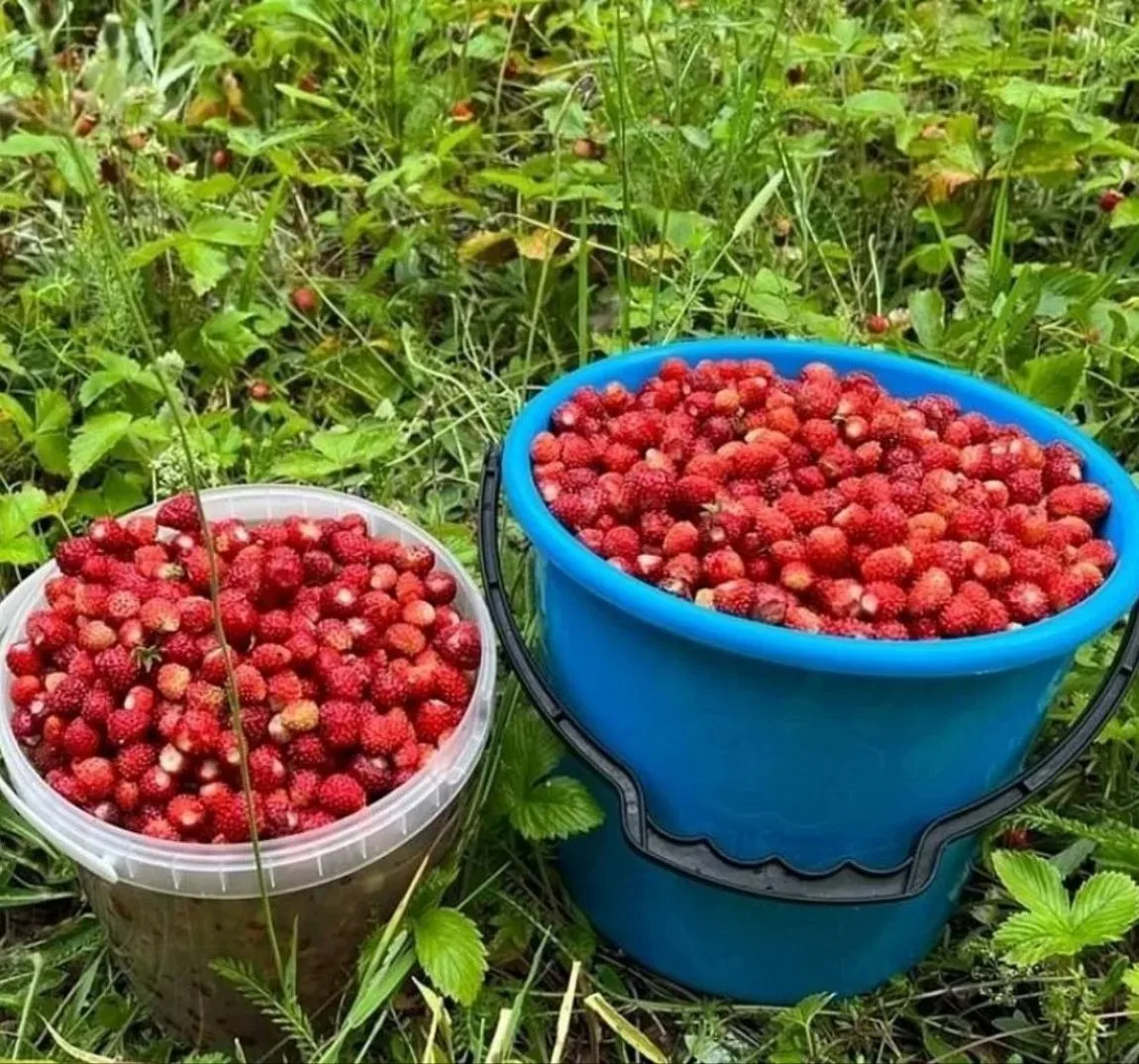 😲Удачно так. ♥️
