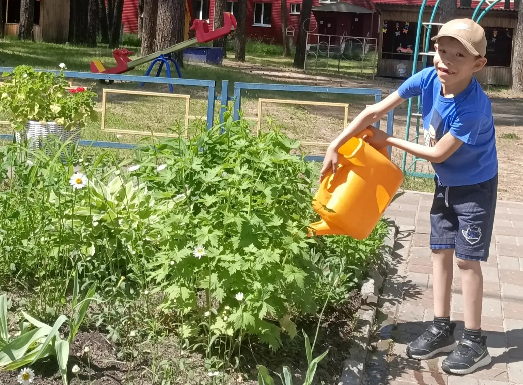Лето – чудесная, яркая пора, а цветущие клумбы создают позитивное настроение. Во время прогулок ребя