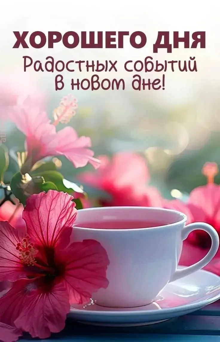 🌺ОТКРЫТКИ И ПОЗДРАВЛЕНИЯ 🌺
👉Наш канал в MAX👈