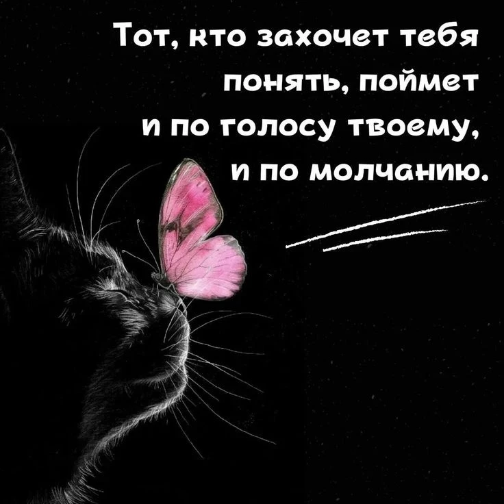 Тот, кто захочет тебя понять, поймет и по голосу твоему, и по молчанию. ✨