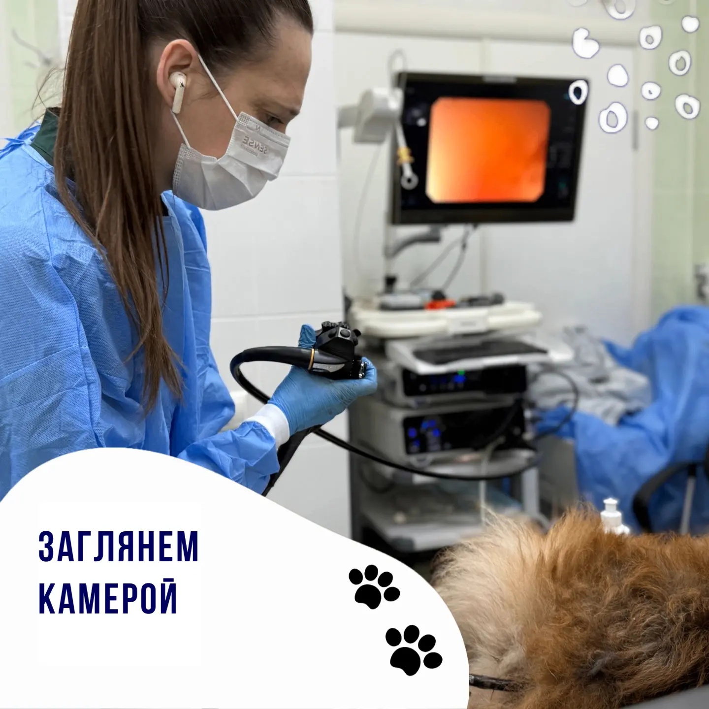 Хроническая диарея, кровь в кале, постоянные проблемы с кишечником…
А лечение помогает только на вре