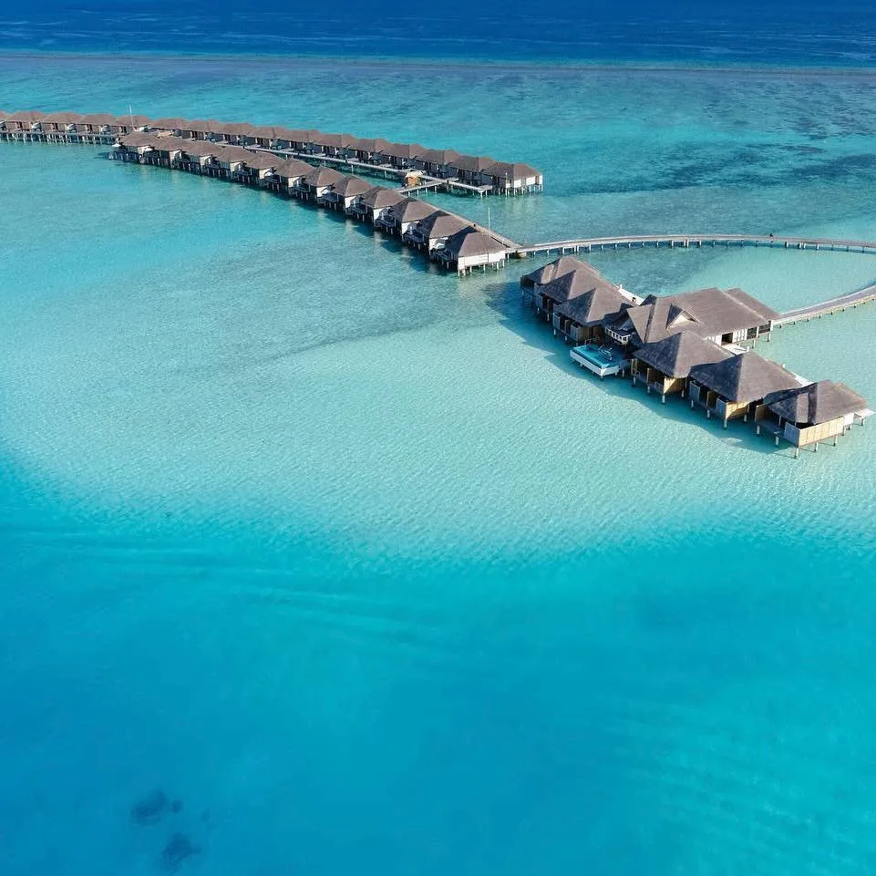 🥥 Стильный и продуманный отдых на Мальдивах 

Velassaru Maldives 5* — отель предлагает разнообразны